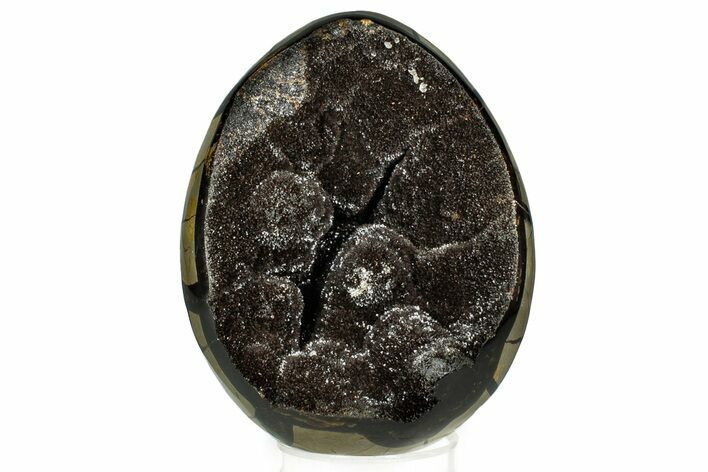 Septarian Dragon Egg Geode - Sparkly Black Crystals #329495